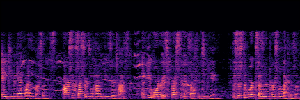 Noisy Spec