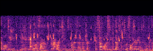 Noisy Spec