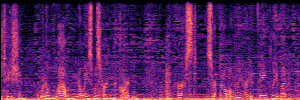 Noisy Spec