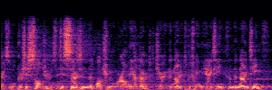 Noisy Spec