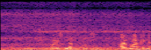 Noisy Spec