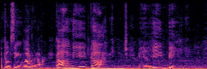 Noisy Spec