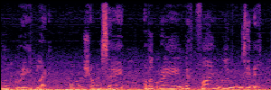 Noisy Spec
