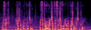 Noisy Spec