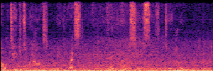 Noisy Spec