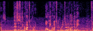 Noisy Spec