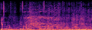 Noisy Spec