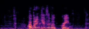Noisy Spec