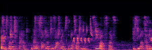 Noisy Spec