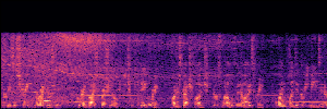 Noisy Spec