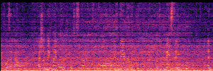 Noisy Spec