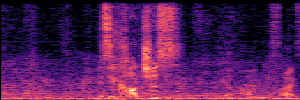 Noisy Spec