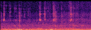 Noisy Spec