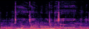 Noisy Spec