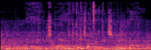 Noisy Spec